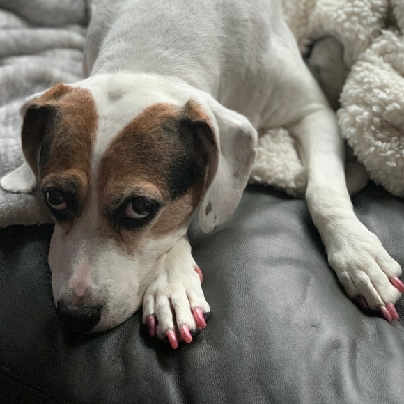 Meet your Posher, Kelly - Picture 8 of 8